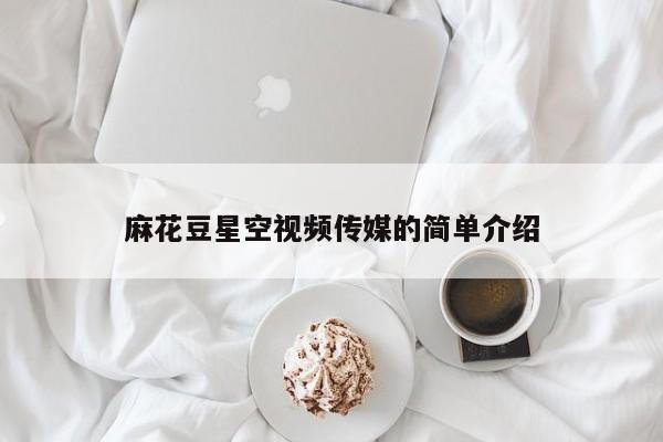麻花豆星空视频传媒的简单介绍