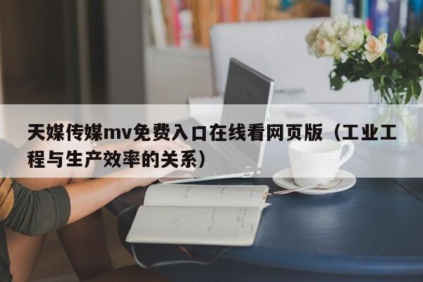 天媒传媒mv免费入口在线看网页版（工业工程与生产效率的关系）