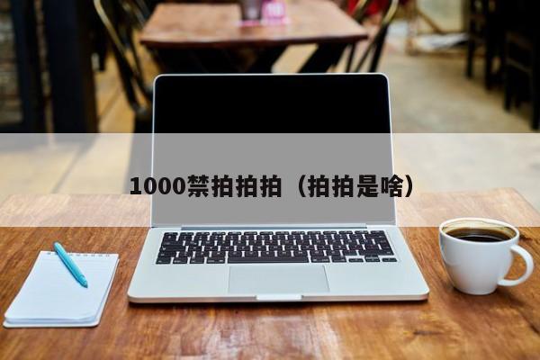 1000禁拍拍拍（拍拍是啥）