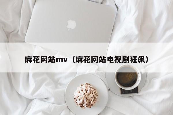 麻花网站mv（麻花网站电视剧狂飙）