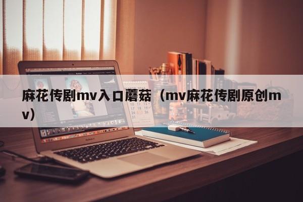 麻花传剧mv入口蘑菇（mv麻花传剧原创mv）