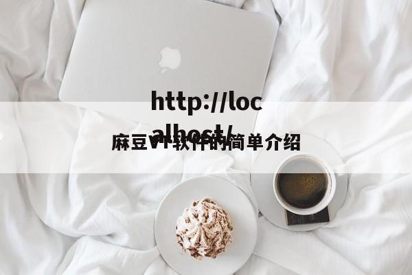 麻豆VT软件的简单介绍